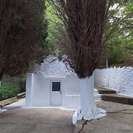 Traditional House In Asfendiou Agios Dimitrios  Exterior foto